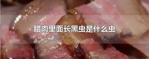 ​腊肉里面长黑虫是什么虫