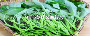 ​空心菜什么季节吃