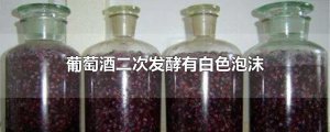 ​葡萄酒二次发酵有白色泡沫