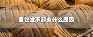 ​面包发不起来什么原因