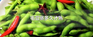 ​毛豆蒸多久才熟