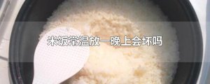 ​米饭常温放一晚上会坏吗