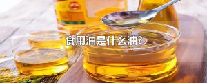 ​食用油是什么油?