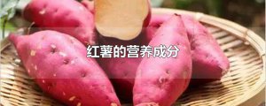 ​红薯的营养成分