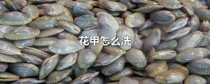 ​花甲怎么洗