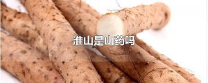 ​淮山是山药吗
