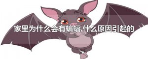 ​家里为什么会有蝙蝠,什么原因引起的