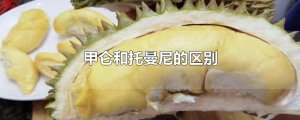 ​甲仑和托曼尼的区别
