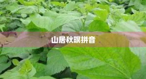 ​山居秋暝拼音(山居秋暝拼音版及翻译)