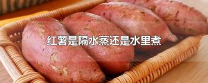 ​红薯是隔水蒸还是水里煮