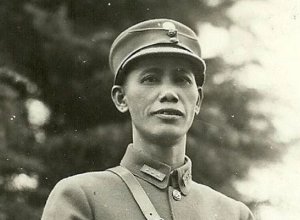 ​蔡延楷个人资料（简述抗日民族英雄蔡廷锴的传奇人生）