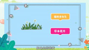 ​蒲公英的别名又叫什么
