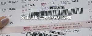 ​网上订机票怎么看航班号