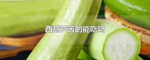 ​西葫芦苦的能吃吗