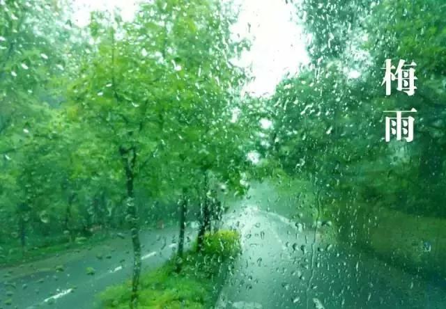 梅雨期是什么意思_入梅的判断标准