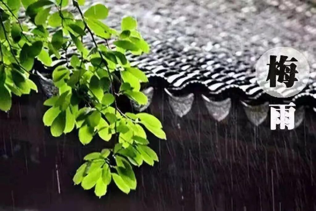 梅雨期是什么意思_入梅的判断标准