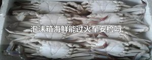 ​泡沫箱海鲜能过火车安检吗