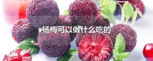 ​杨梅可以做什么吃的