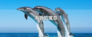 ​海豚的寓意