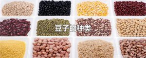 ​豆子的种类