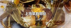 ​上海菜有哪些