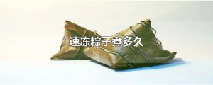 ​速冻粽子煮多久