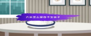 ​大米怎么保存不生虫子