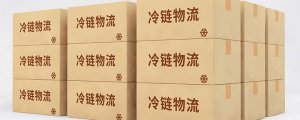 ​冷链指的是什么