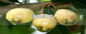 ​蒲桃怎么吃