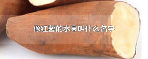 ​像红薯的水果叫什么名字