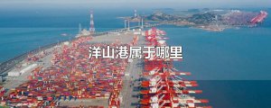 ​洋山港属于哪里