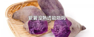 ​紫薯没熟透能吃吗