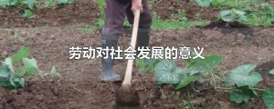 ​劳动对社会发展的意义
