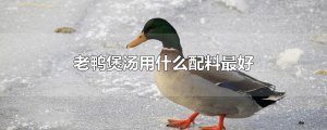 ​老鸭煲汤用什么配料最好