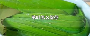 ​苇叶怎么保存