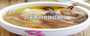 ​鸽子煮20分钟能熟吗