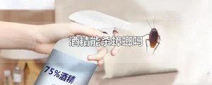 ​酒精能杀蟑螂吗