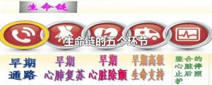 ​生命链的五个环节