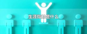 ​生涯指的是什么