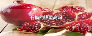 ​石榴的热量高吗