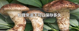 ​松茸常温下可以保存多久