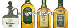 ​威士忌怎么喝比较好喝