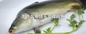 ​为什么市场不卖裸斑鱼