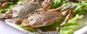 ​梭子蟹死了可以放冰箱冷藏吗