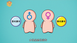 ​头发掉是为什么