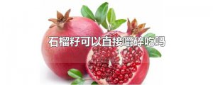 ​石榴籽可以直接嚼碎吃吗