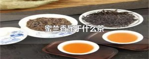 ​蜜兰香属于什么茶