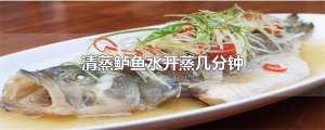 ​清蒸鲈鱼水开蒸几分钟