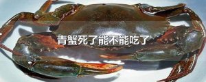 ​青蟹死了能不能吃了