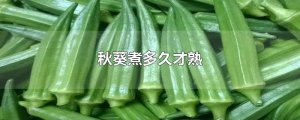 ​秋葵煮多久才熟
